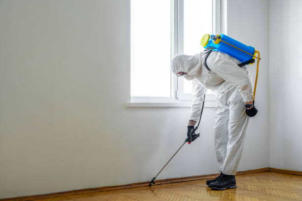 Pest Control for Hotels in Langley, SC